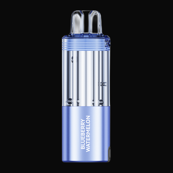 FOGER Switch Pro Disposable - Blueberry Watermelon